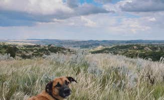 Ellery K.'s photo of camping with pets at Dispersed Site - Grassland Boondocking near Killdeer, ND