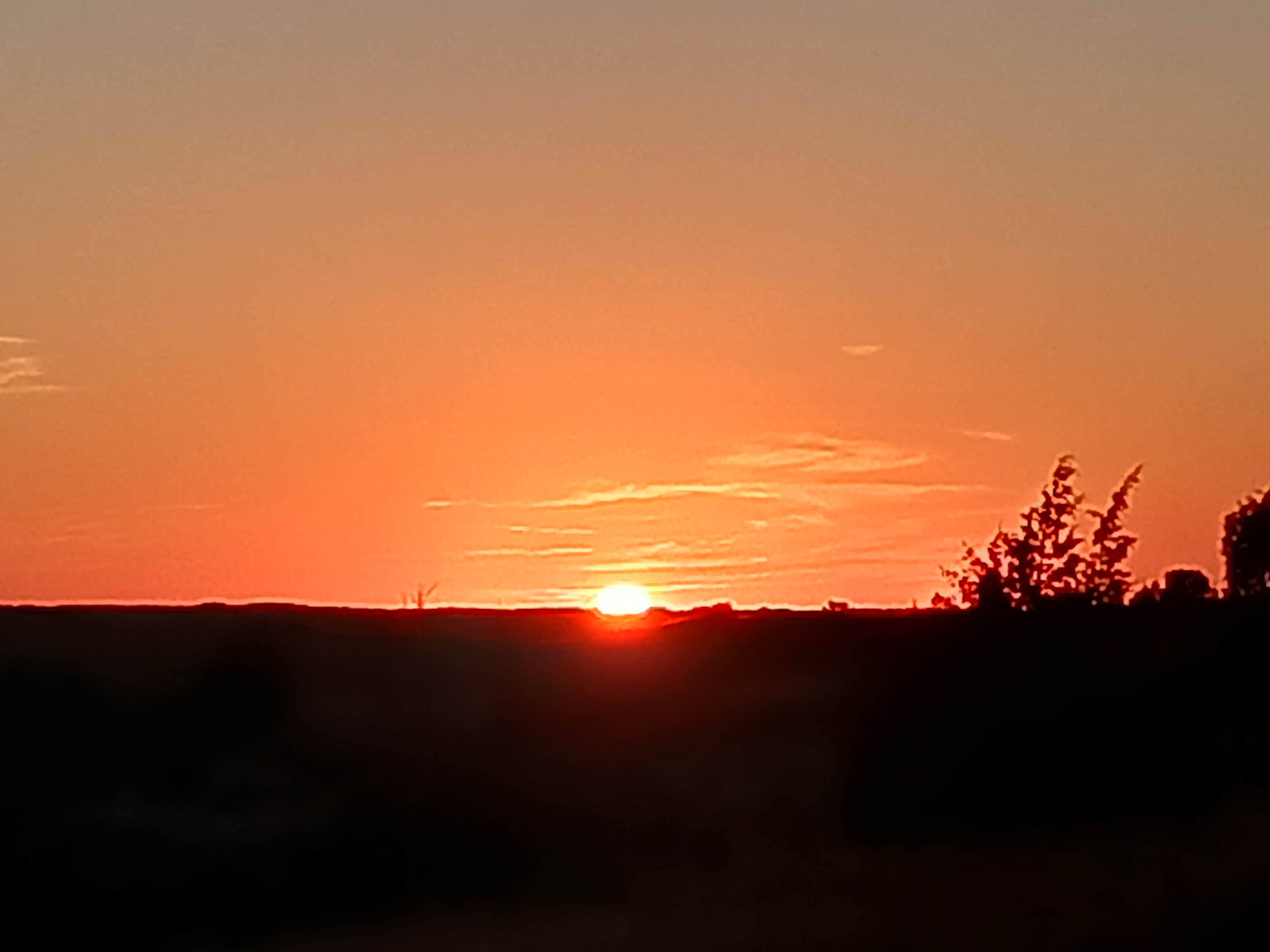 Mark's photo of a dispersed camping area at Dispersed Site - Grassland Boondocking near Medora, ND