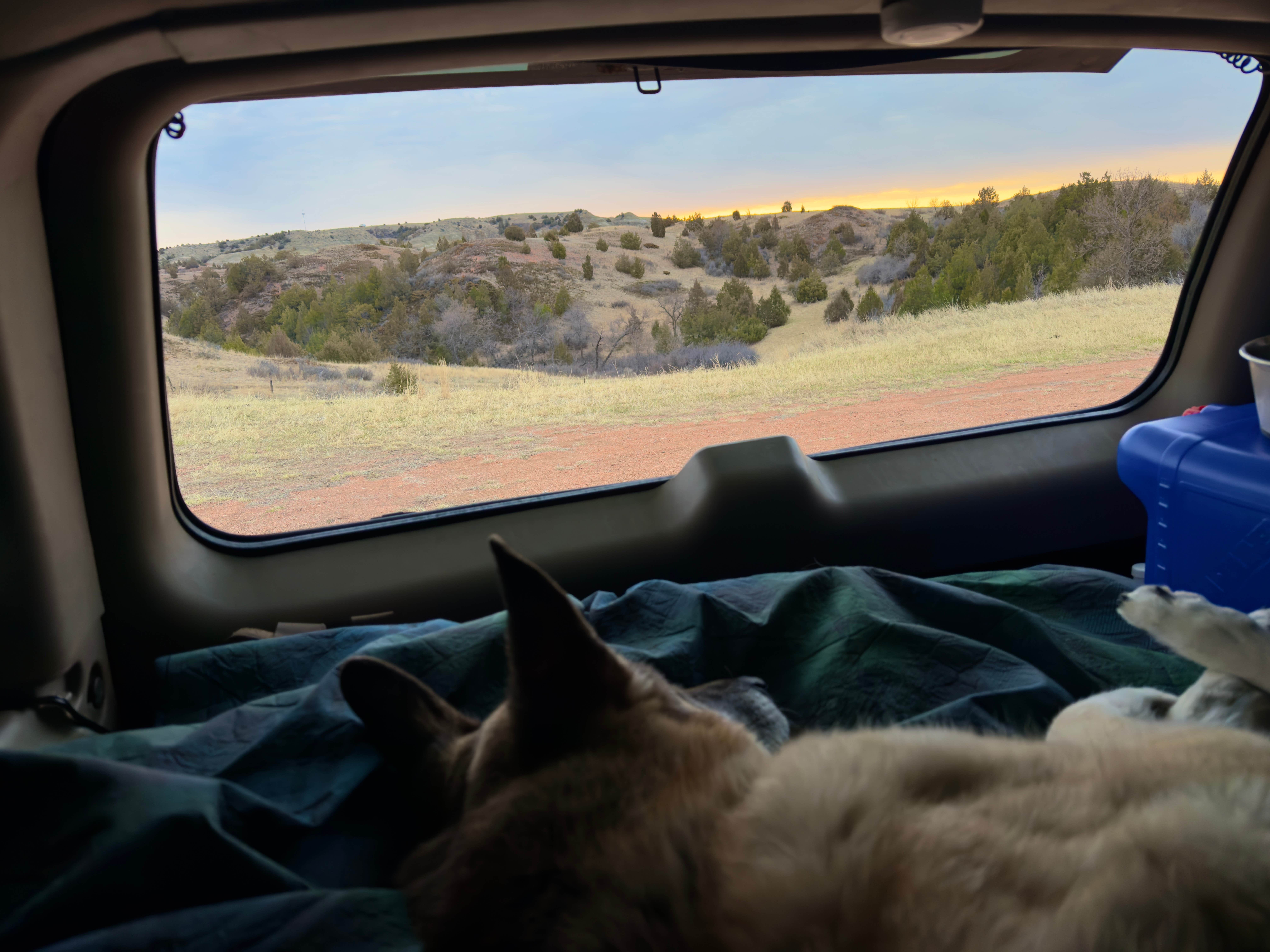 T S.'s photo of camping with pets at Dispersed Site - Grassland Boondocking in North Dakota