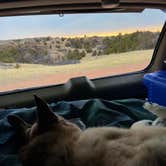 Review photo of Dispersed Site - Grassland Boondocking by T S., March 29, 2026