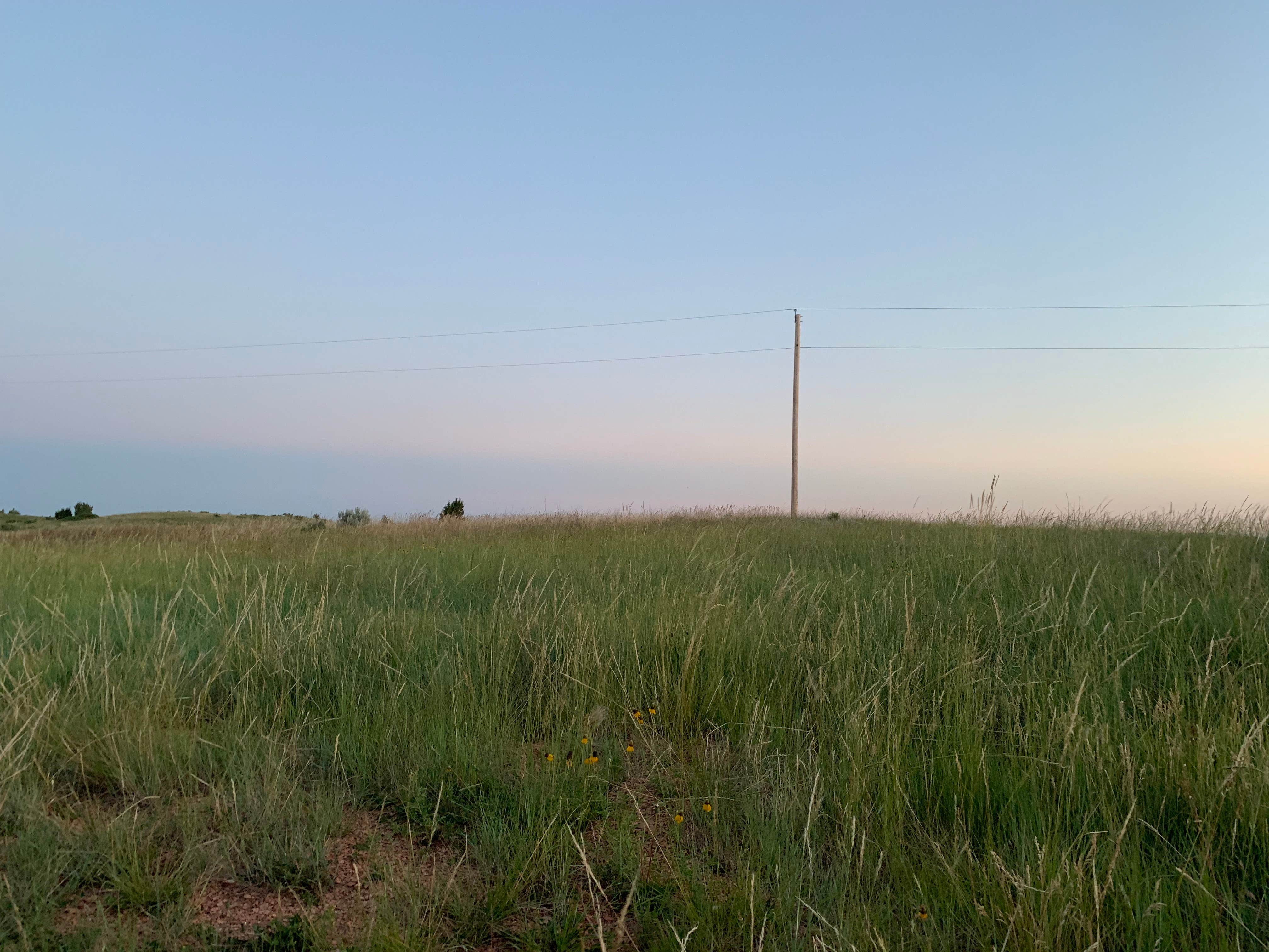 c G.'s photo of a dispersed camping area at Dispersed Site - Grassland Boondocking near Dakota Prairie National Grasslands