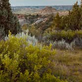 Review photo of Dispersed Site - Grassland Boondocking by Joni Z., July 15, 2025