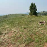Review photo of Dispersed Site - Grassland Boondocking by Clarence G., August 20, 2025