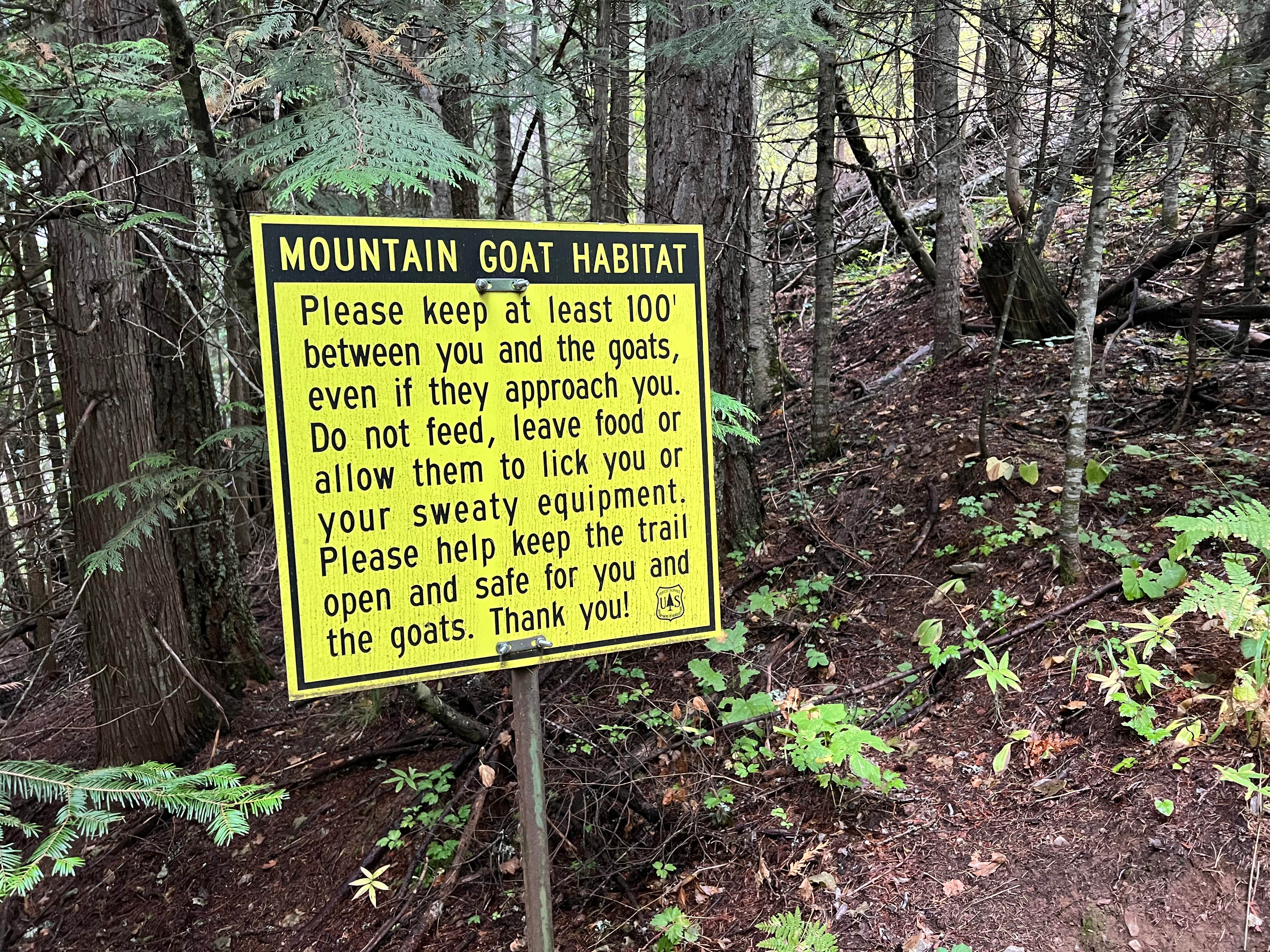 Camper-submitted photo at Scotchmans Peak near Sandpoint, ID