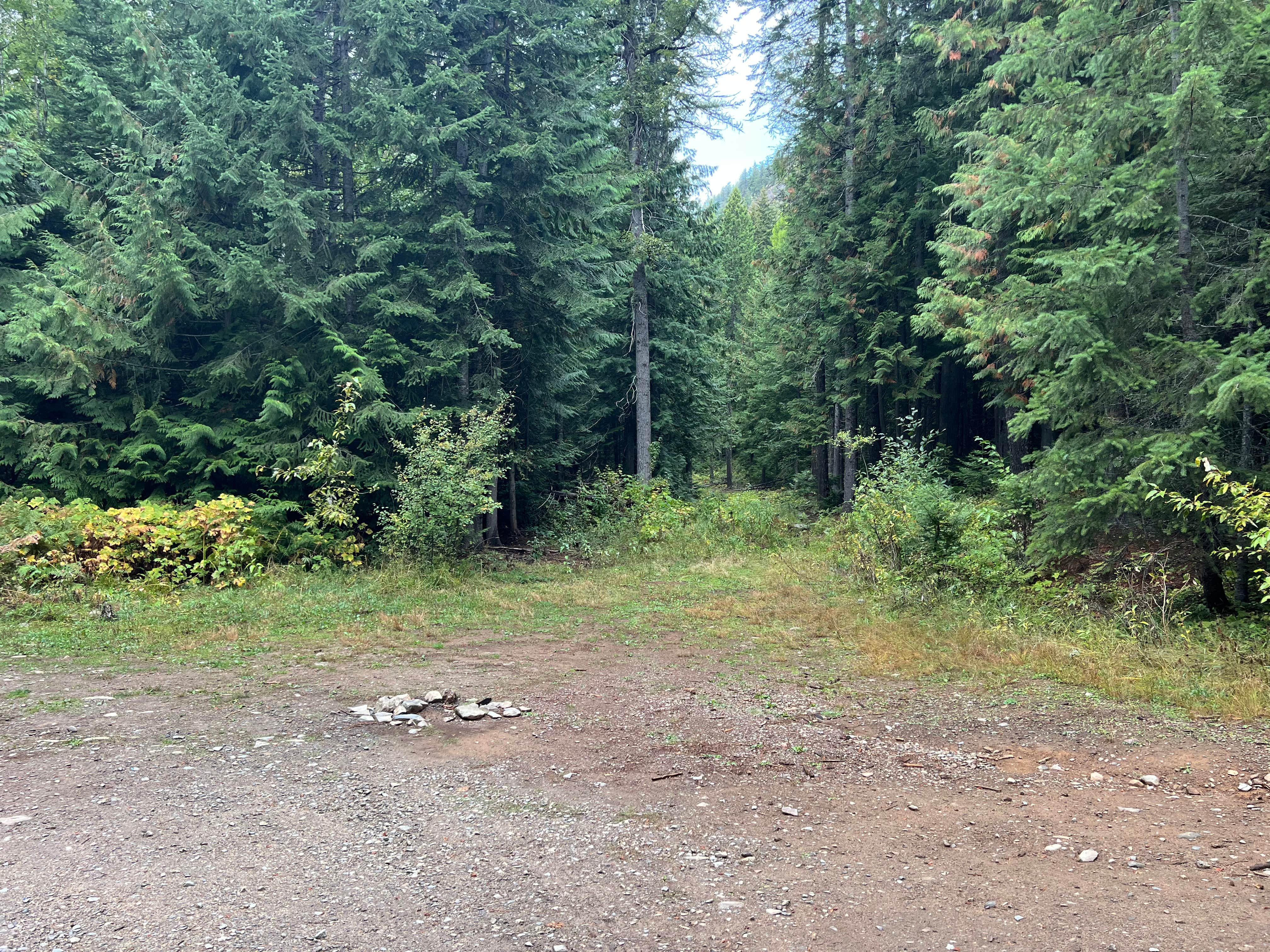 Camper-submitted photo at Scotchmans Peak near Sandpoint, ID
