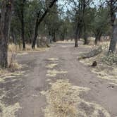 Review photo of Scotia Canyon - Coronado National Forest by aron F., February 14, 2025