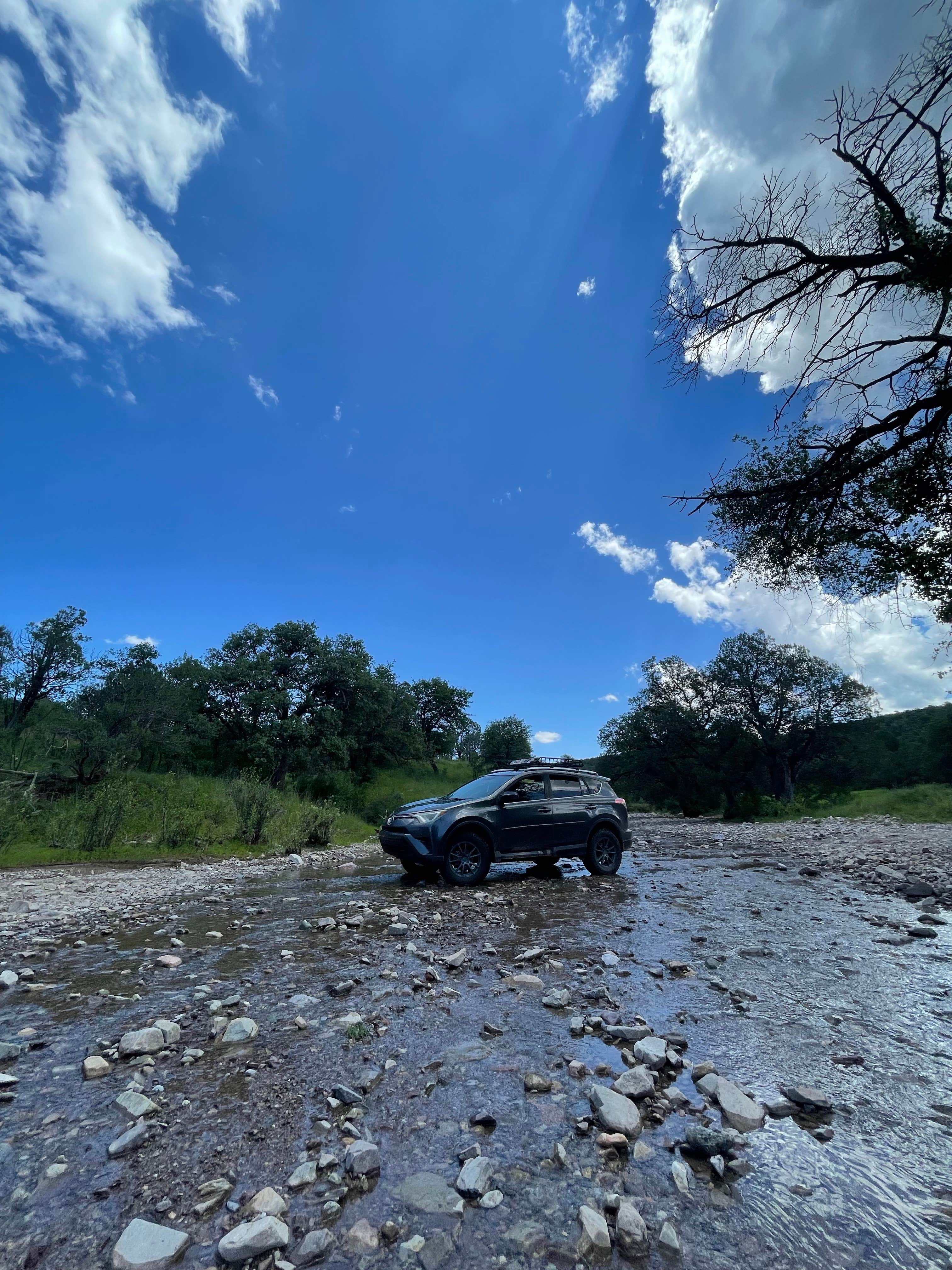 Cass G.'s photo of a dispersed camping area at Scotia Canyon - Coronado National Forest near Fort Huachuca, AZ