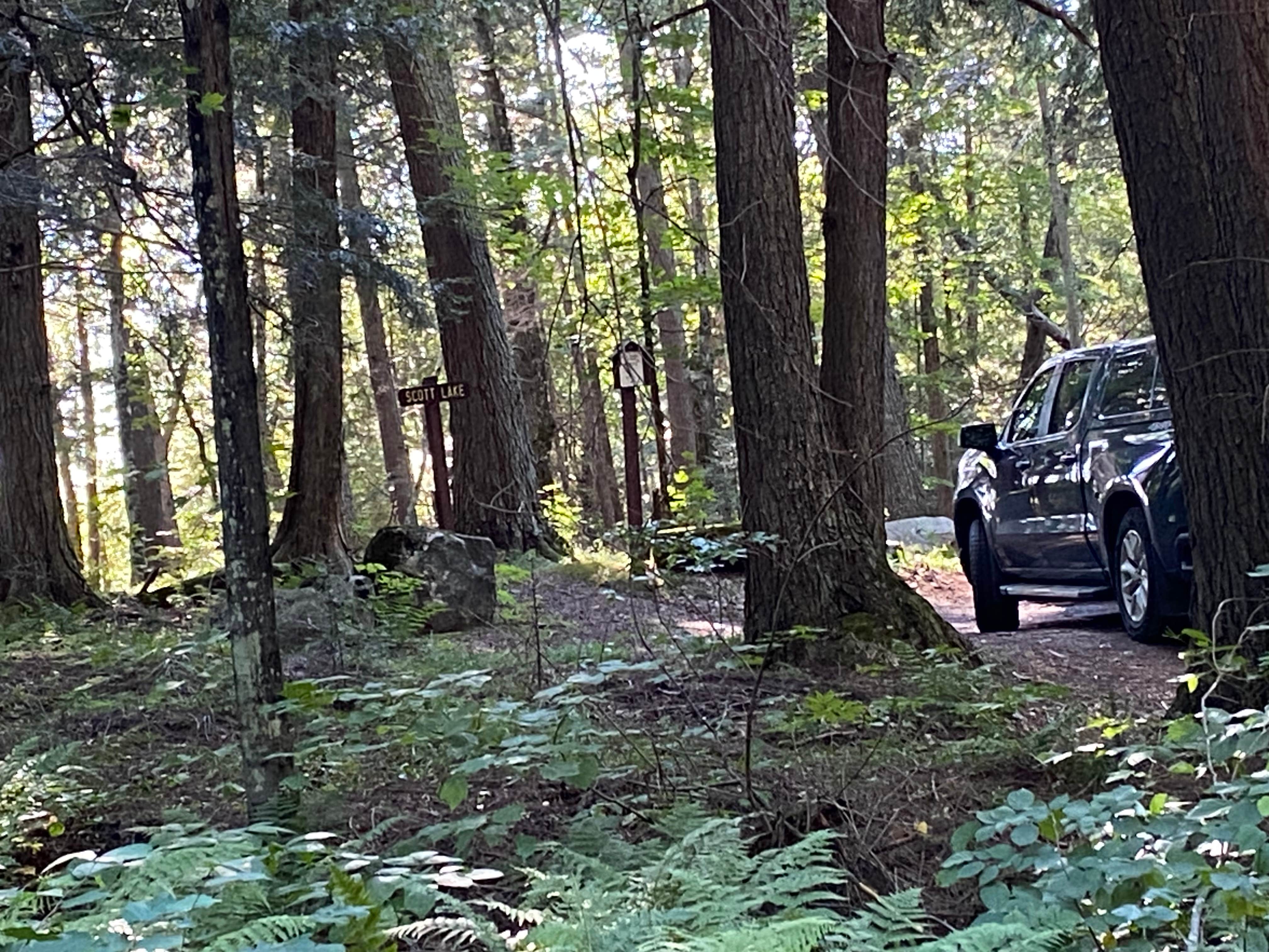 Camping near Lake George Campsite: Scott Lake, Hiles, Wisconsin