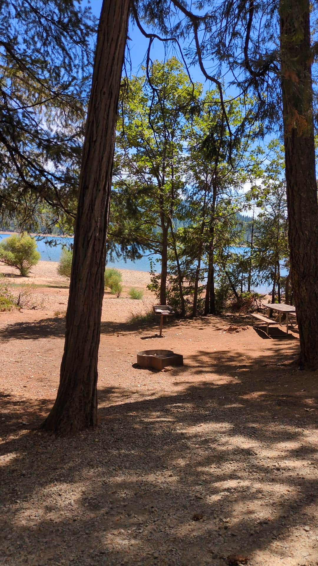 Camper submitted image from Scotts Flat Lake - 1