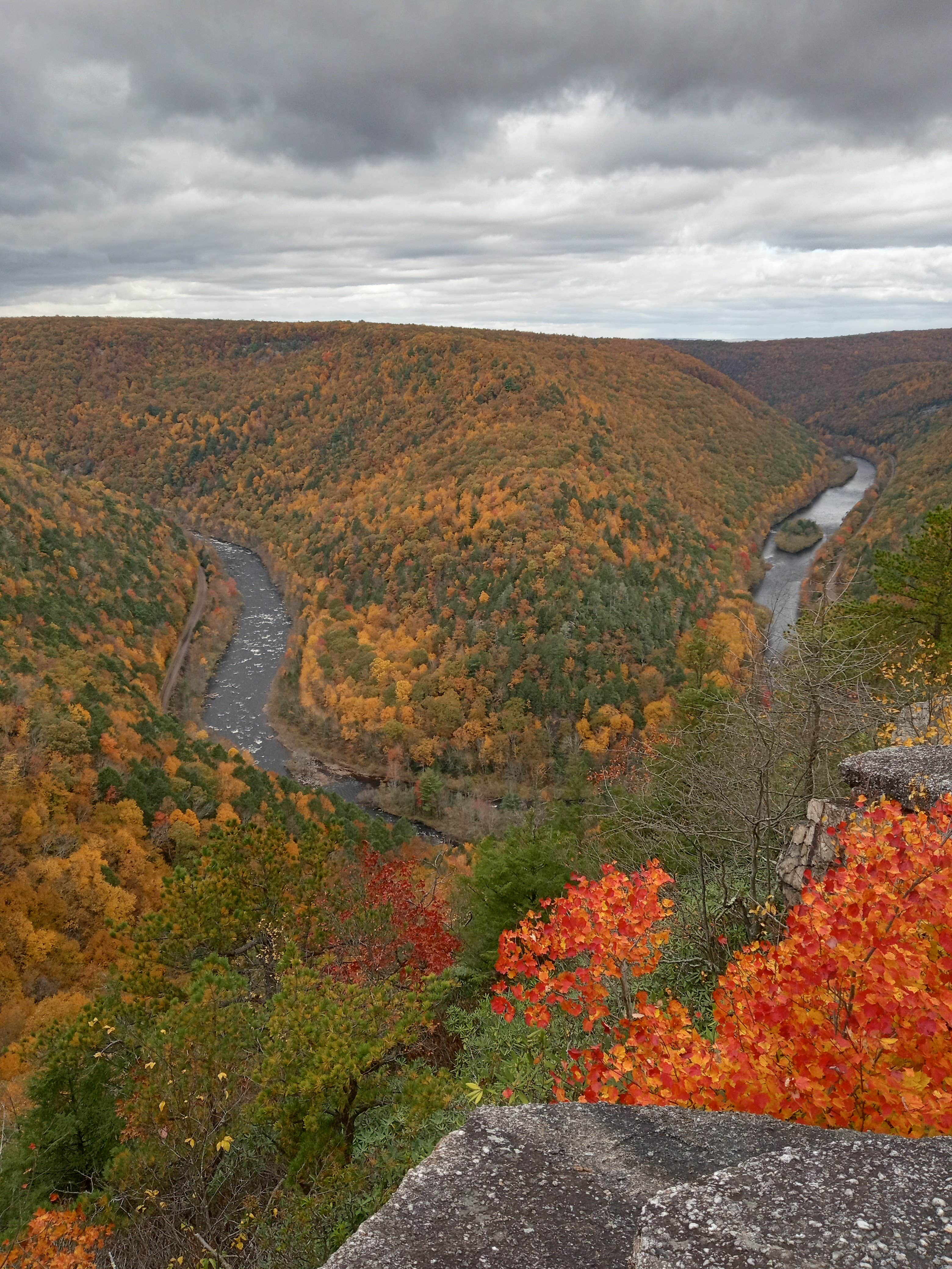 Camper submitted image from Scrub Mountain Retreat - 5