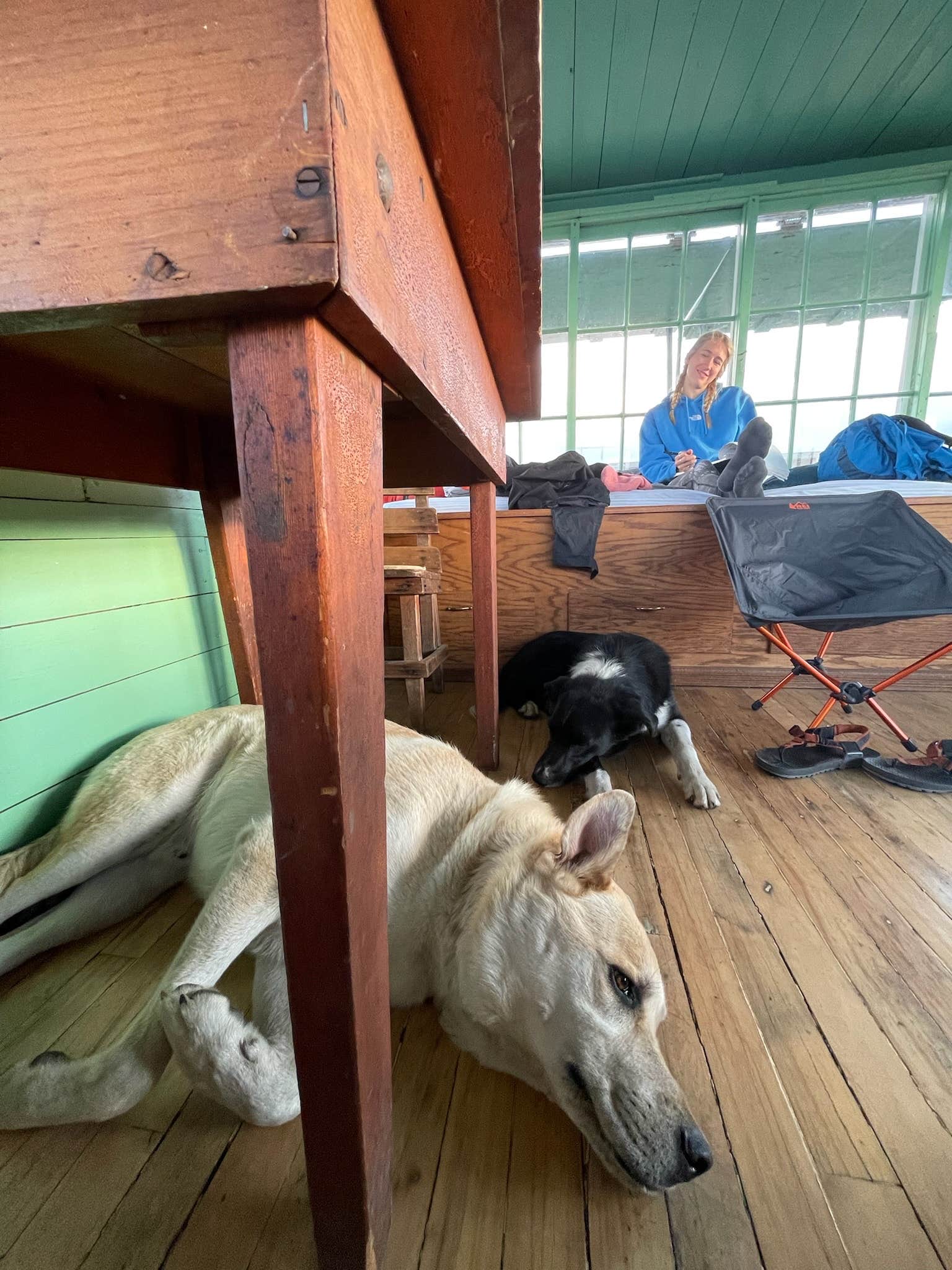 Camper submitted image from Scurvy Mountain Lookout — Nez Perce Clearwater National Forests - 5