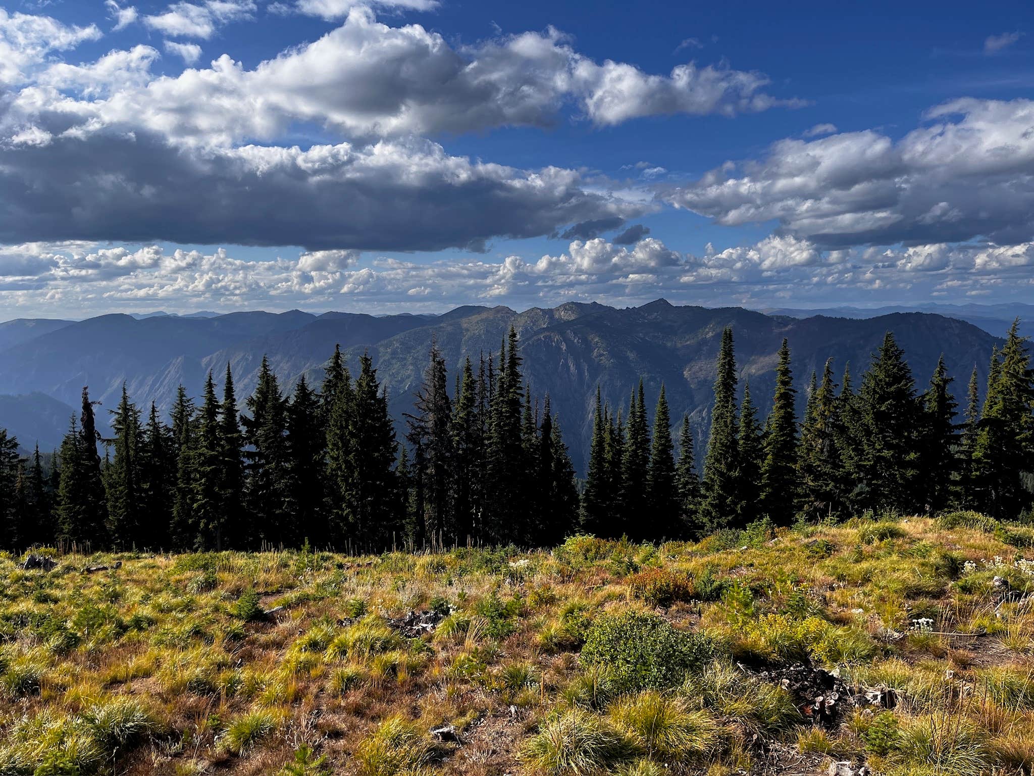 Camper submitted image from Scurvy Mountain Lookout — Nez Perce Clearwater National Forests - 2