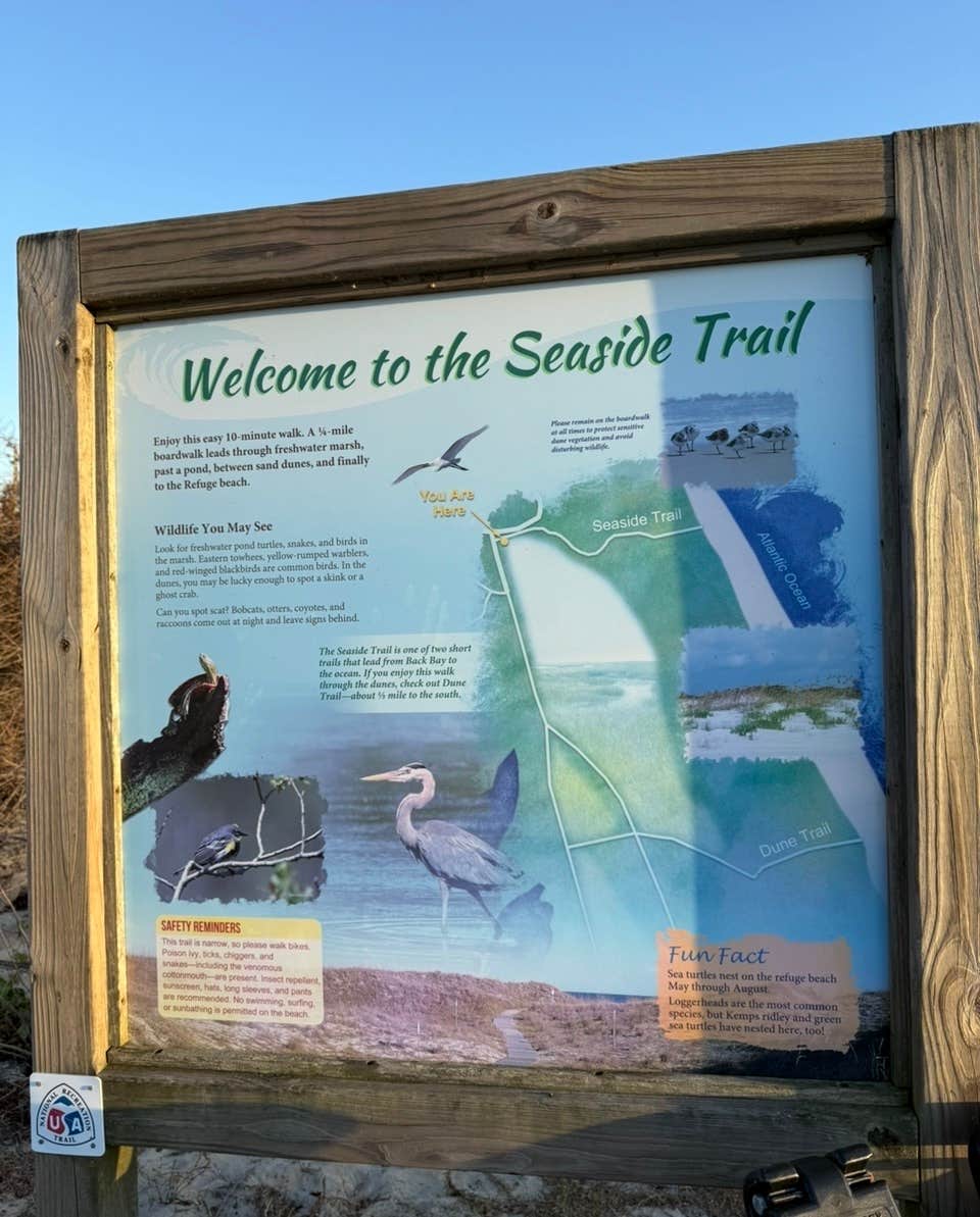 Camper-submitted photo at Sea Mist RV Campground near Virginia Beach, VA