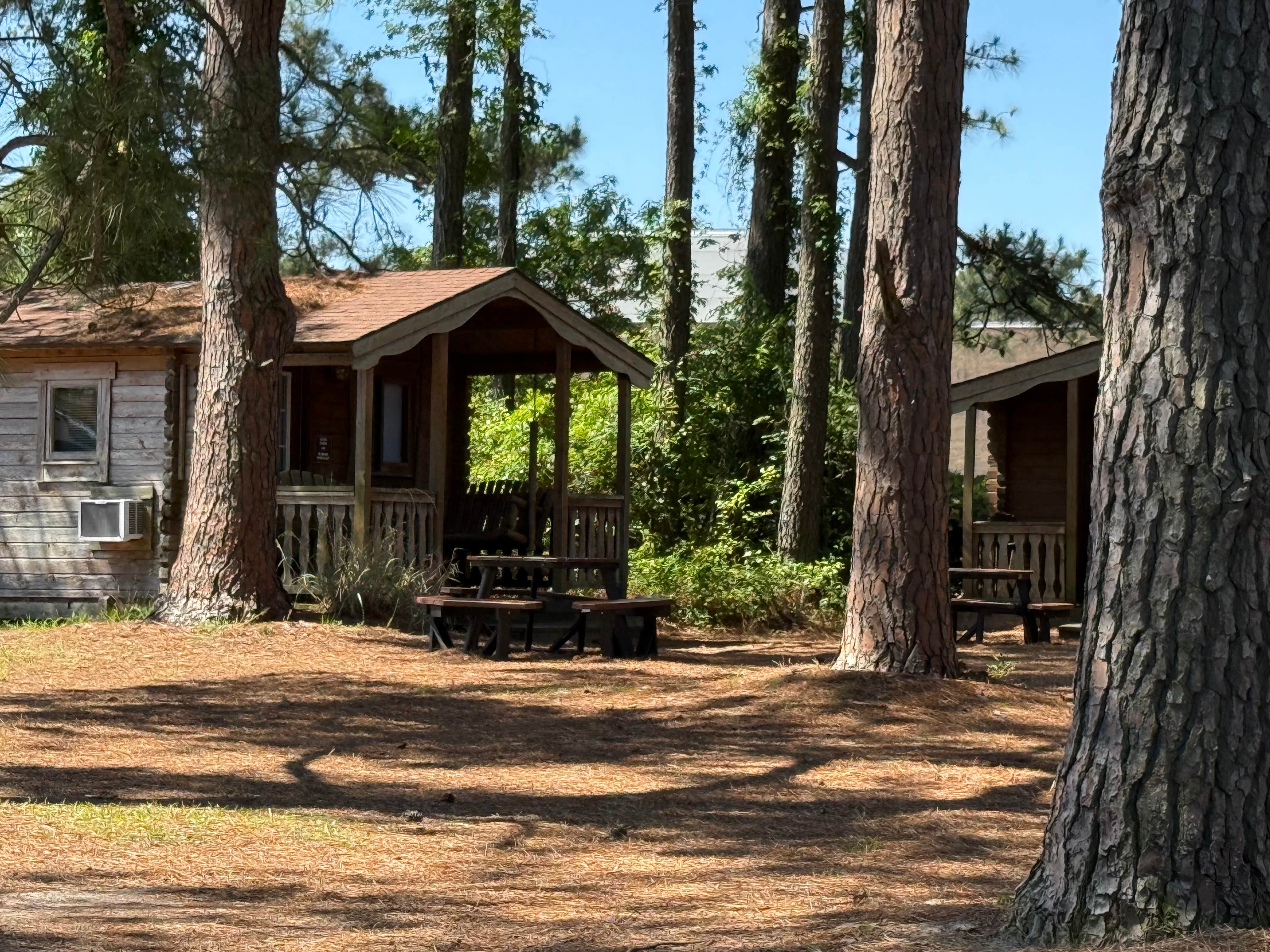 Camper submitted image from Sea Mist RV Campground - 4