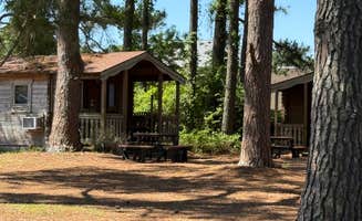 Janet R.'s photo of glamping accommodations at Sea Mist RV Campground near Virginia Beach, VA