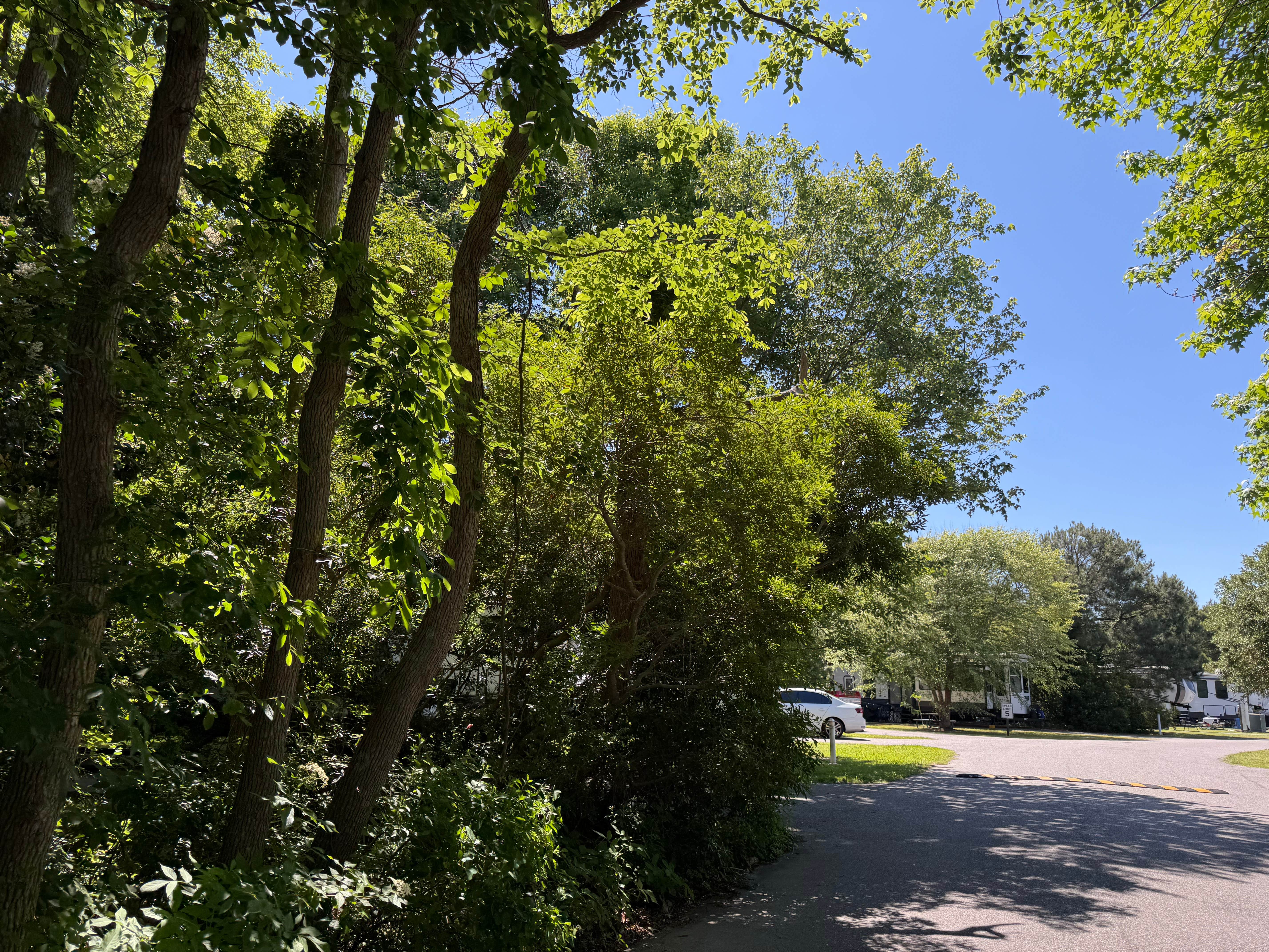 Camper submitted image from Sea Mist RV Campground - 3