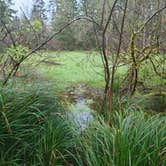Review photo of Sea Ranch Resort by Skyler C., April 28, 2025