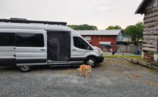 Bruce&Linda A.'s photo of camping with pets at Seagrove Pottery near Pittsboro, NC