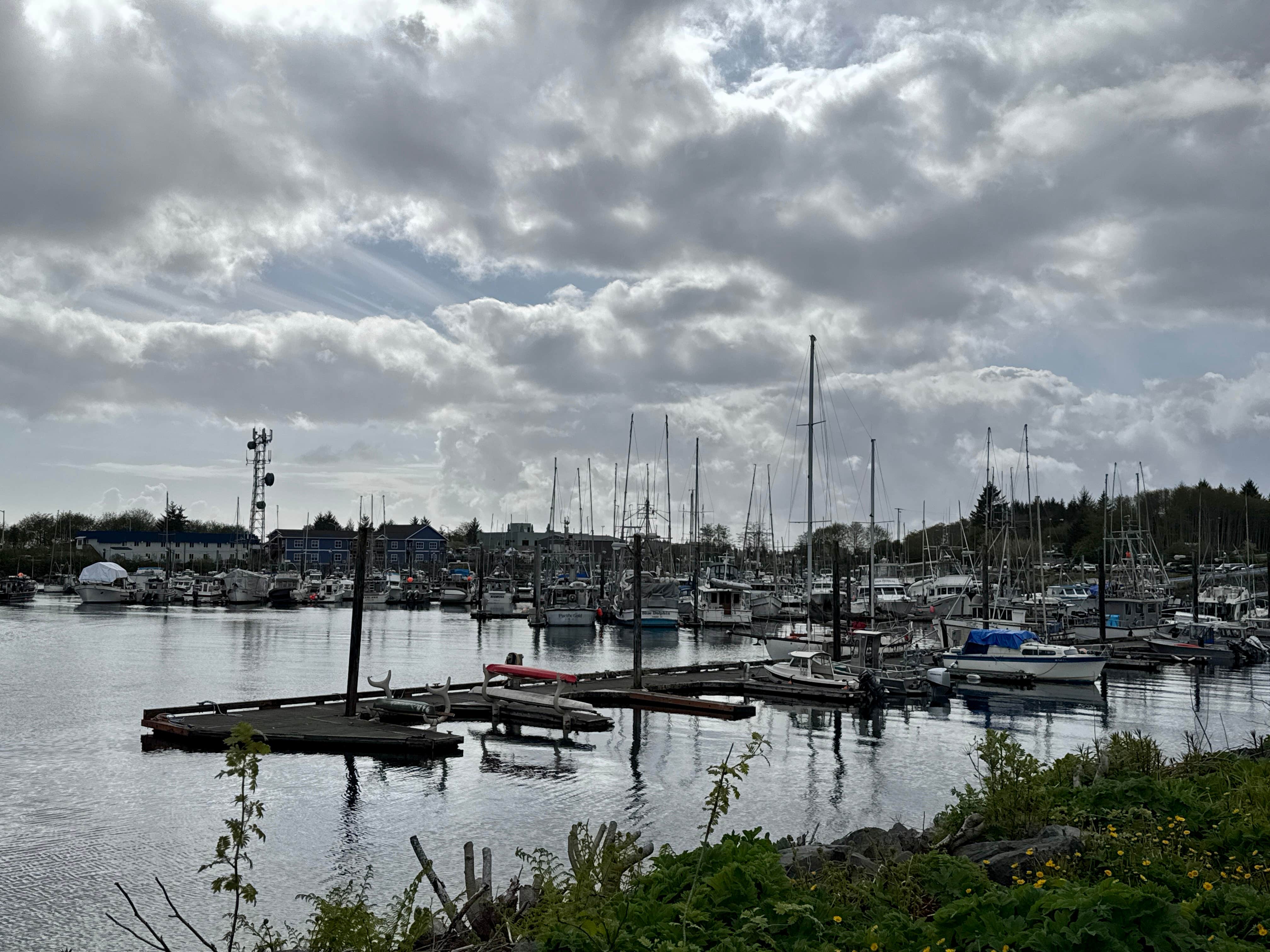 Camper submitted image from Sealing Cove RV Park - 5