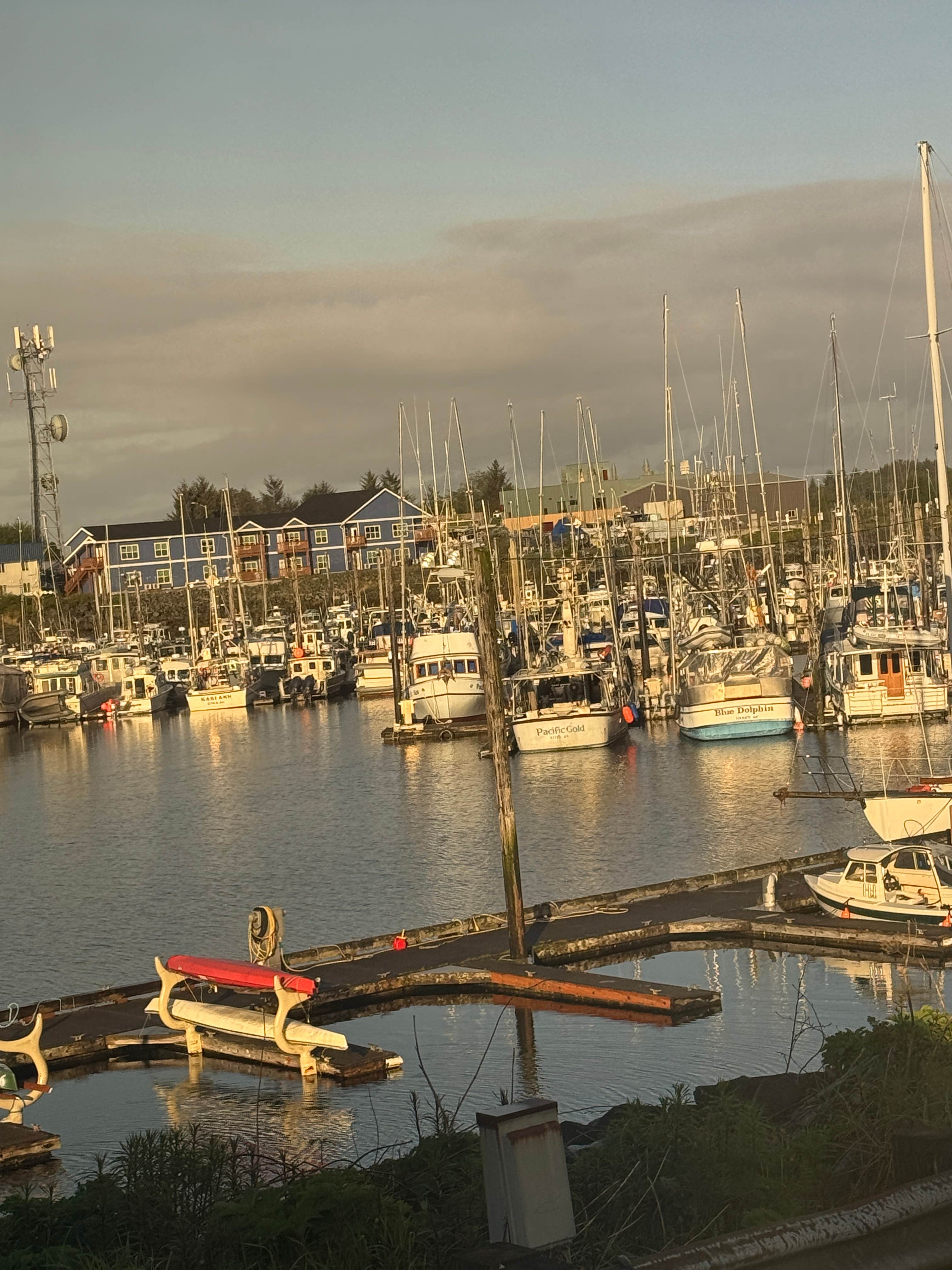 Camper submitted image from Sealing Cove RV Park - 5