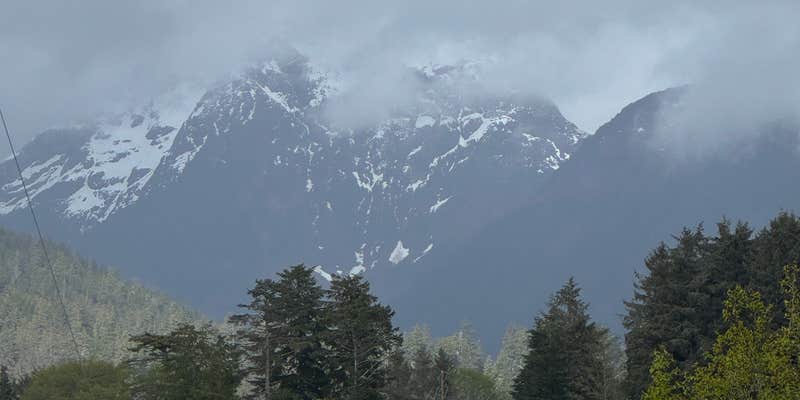 Camper submitted image from Sealing Cove RV Park