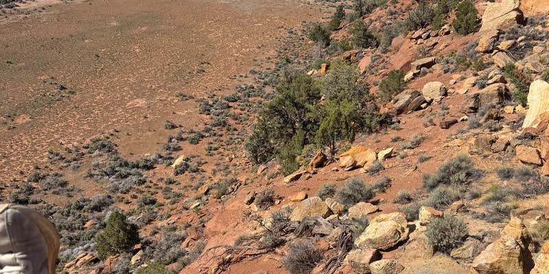 Camper submitted image from Seaman Wash Dispersed