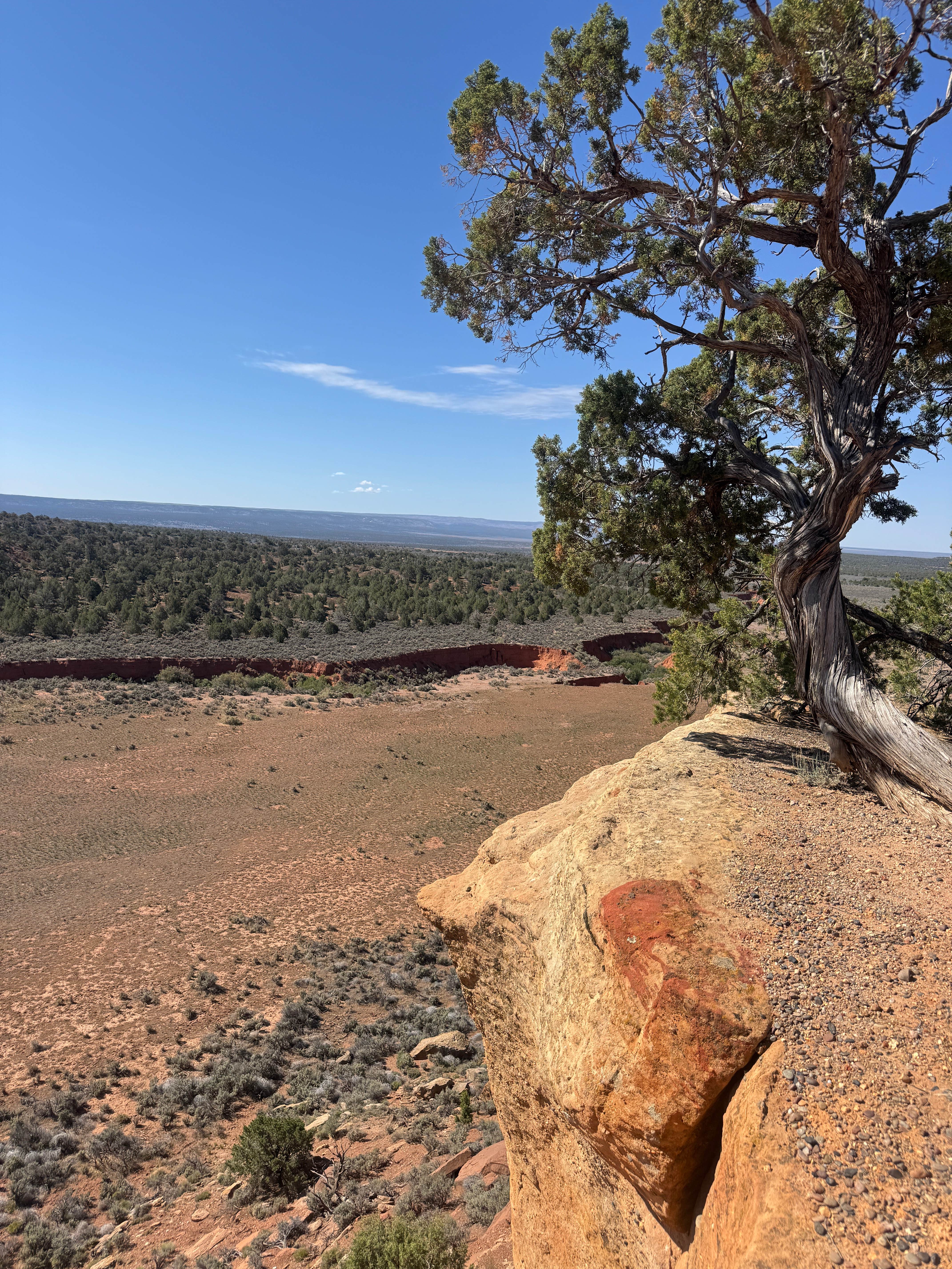 Camper-submitted photo at Seaman Wash Dispersed near Fredonia, AZ