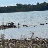 Review photo of Search Bay Dispersed by Brooke J., September 25, 2026