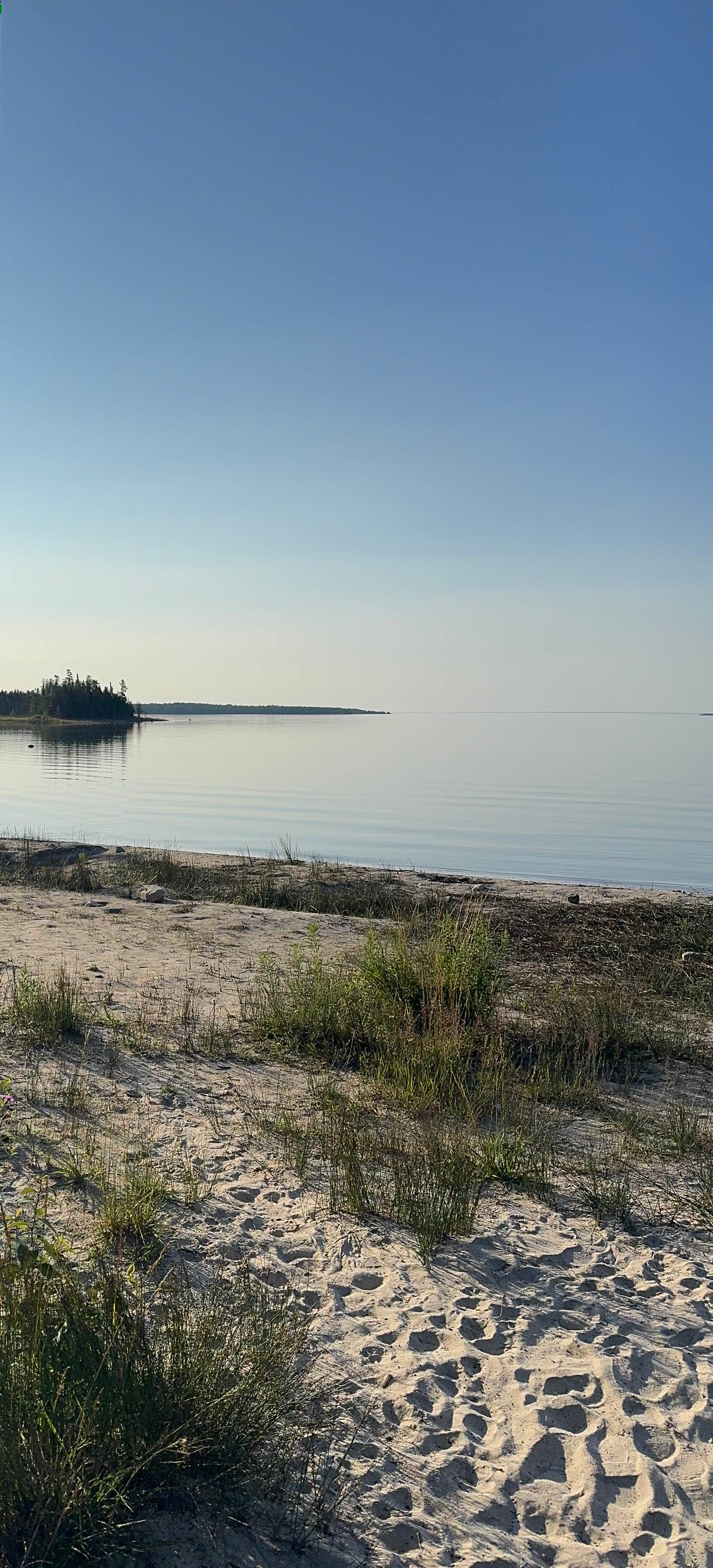 Justin B.'s photo of a dispersed camping area at Search Bay Dispersed near Afton, MI