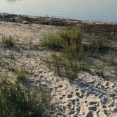 Review photo of Search Bay Dispersed by Justin B., July 24, 2026
