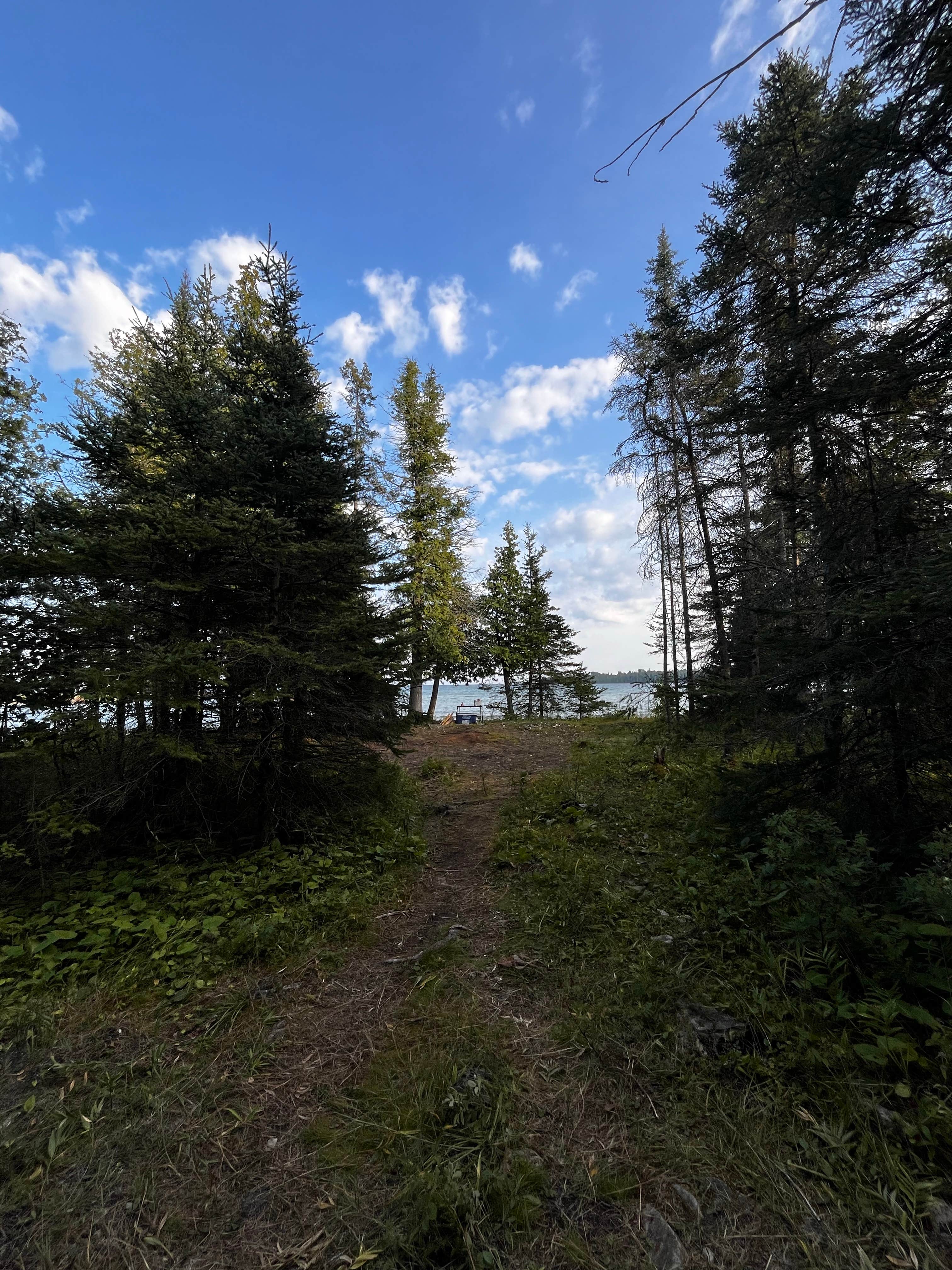 Search Bay Dispersed