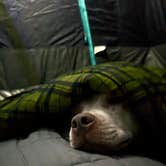 Review photo of Thousand Trails Seaside by Rey R., March 4, 2026