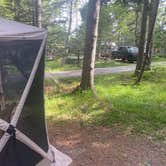 Review photo of Seawall Campground — Acadia National Park by Karla J. B., June 30, 2025