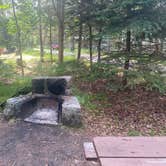 Review photo of Seawall Campground — Acadia National Park by Karla J. B., June 30, 2025