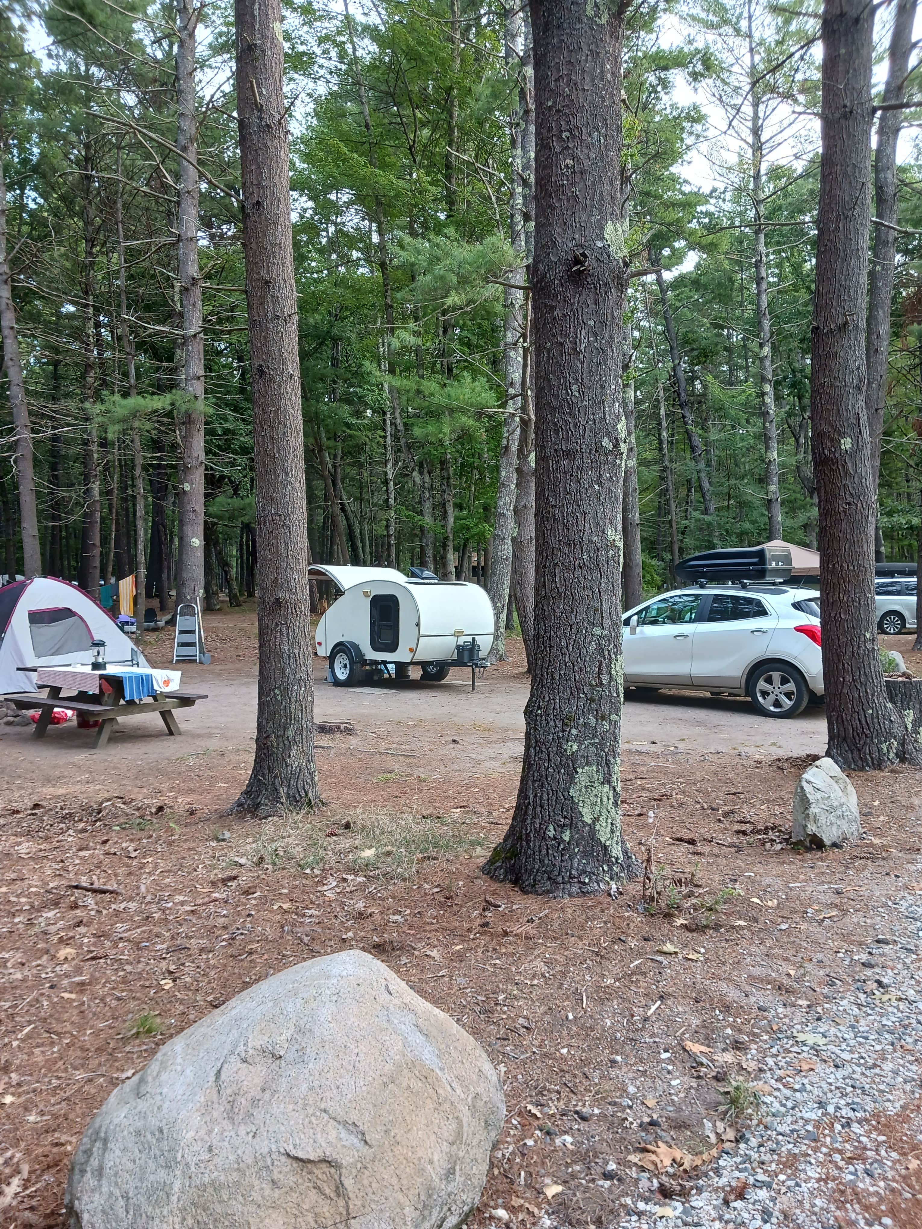 Camper submitted image from Sebago Lake Family Campground - 1