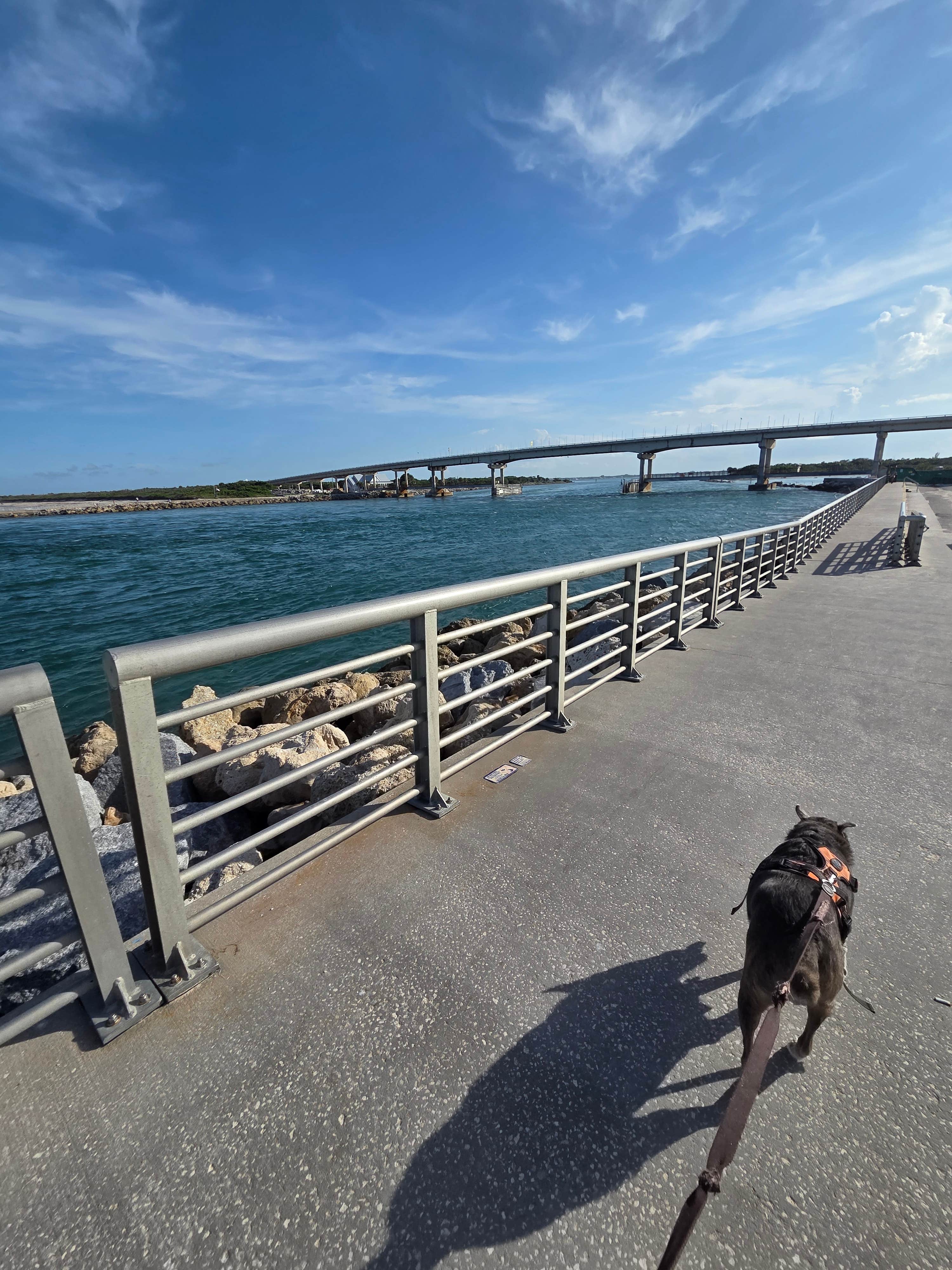 Thomas B.'s photo of camping with pets at Sebastian Inlet State Park Campground near Sharpes, FL