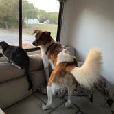 Review photo of Sebastian Inlet State Park Campground by Suzanne A., June 5, 2025