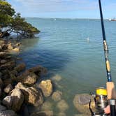Review photo of Sebastian Inlet State Park Campground by michael H., April 10, 2026