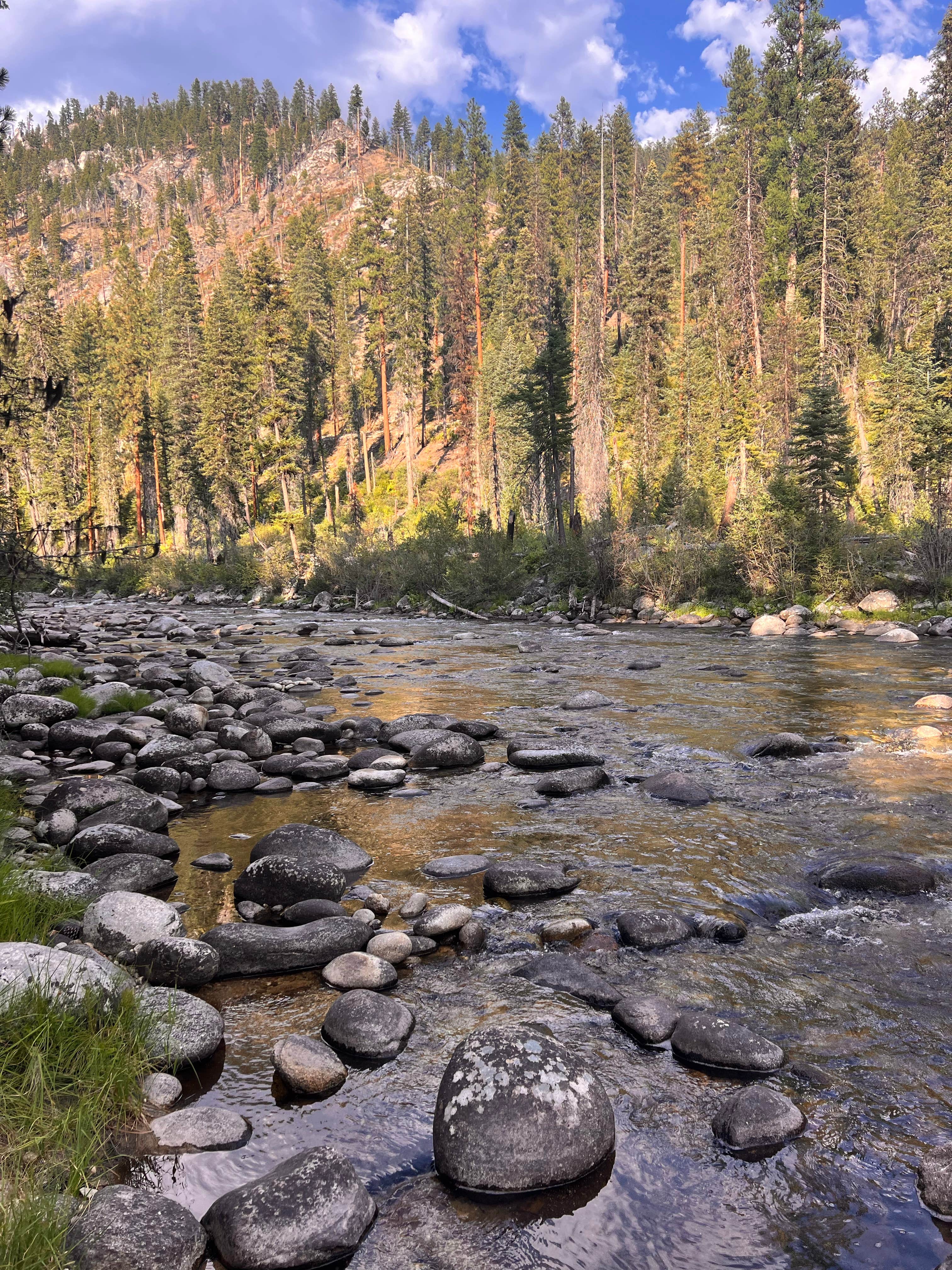 Camper submitted image from Secesh Campground — Payette National Forest - 5