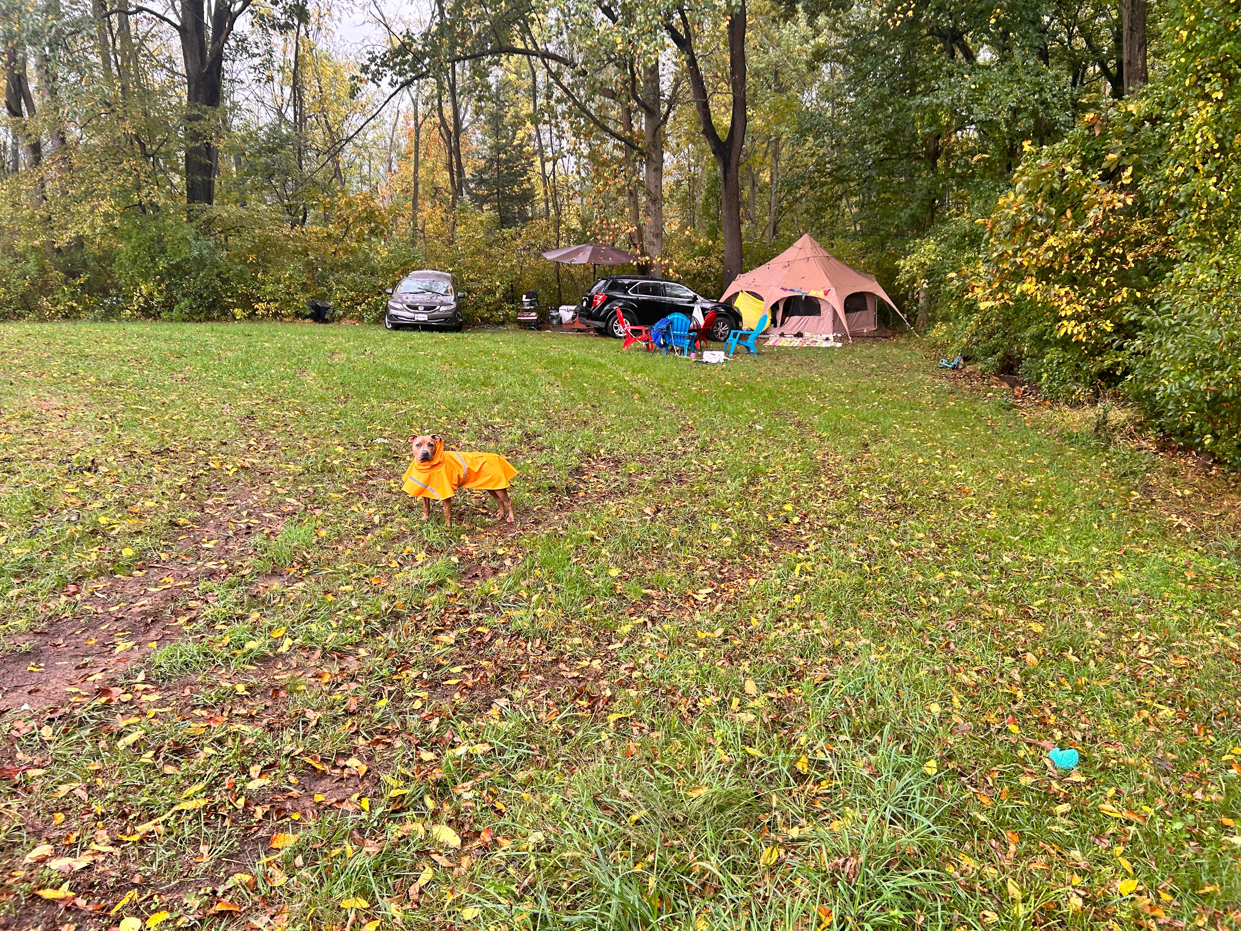 Jillian P.'s photo of tent camping at Rolling Hills Retreats near West Grove, PA