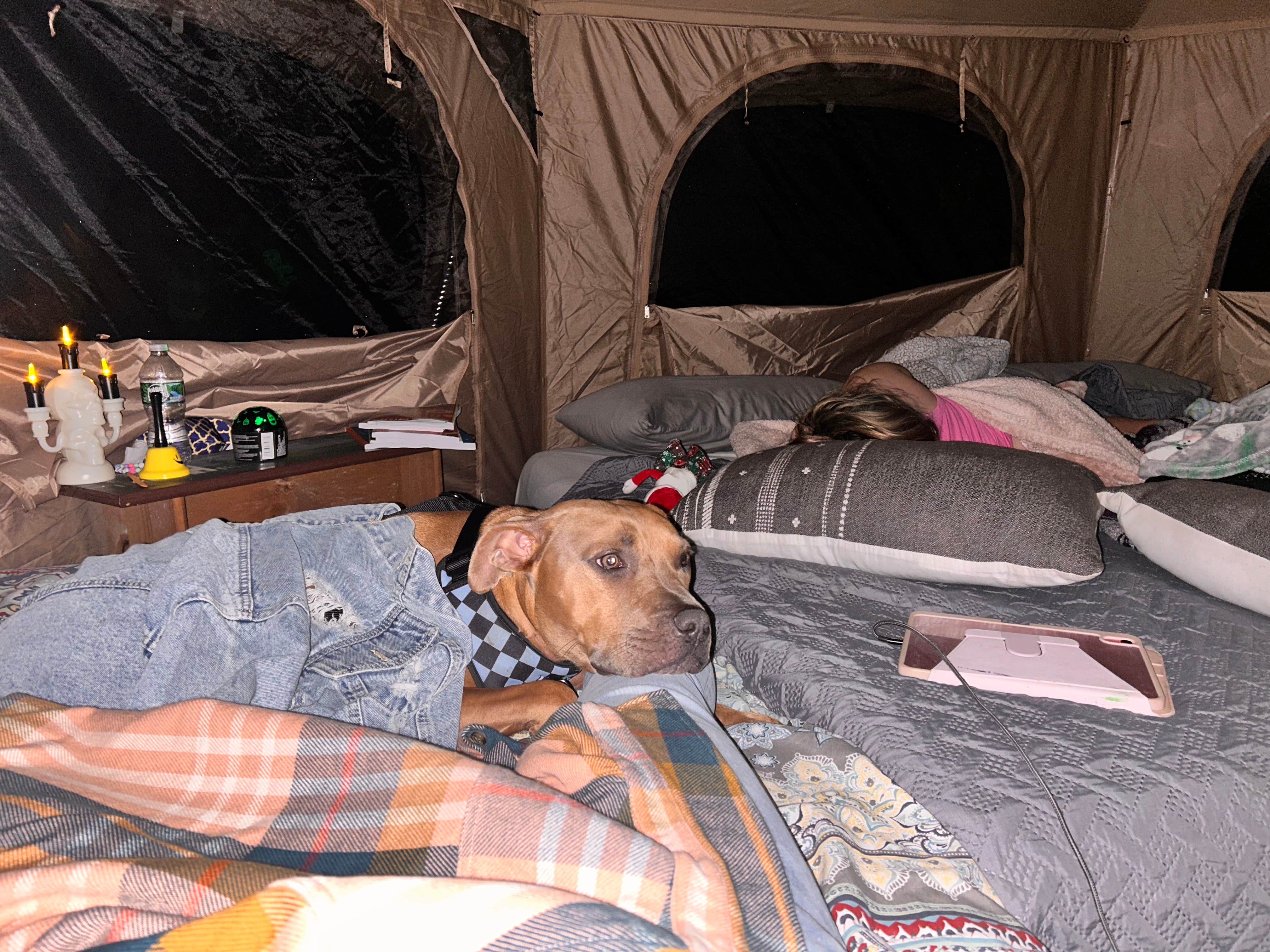 Jillian P.'s photo of glamping accommodations at Rolling Hills Retreats near Coopersburg, PA
