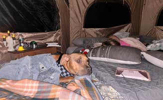 Jillian P.'s photo of glamping accommodations at Rolling Hills Retreats near Wilmington, DE