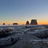 Review photo of Second Beach — Olympic National Park by Lyz F., June 18, 2026