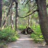 Review photo of Second Beach — Olympic National Park by Lyz F., June 18, 2026
