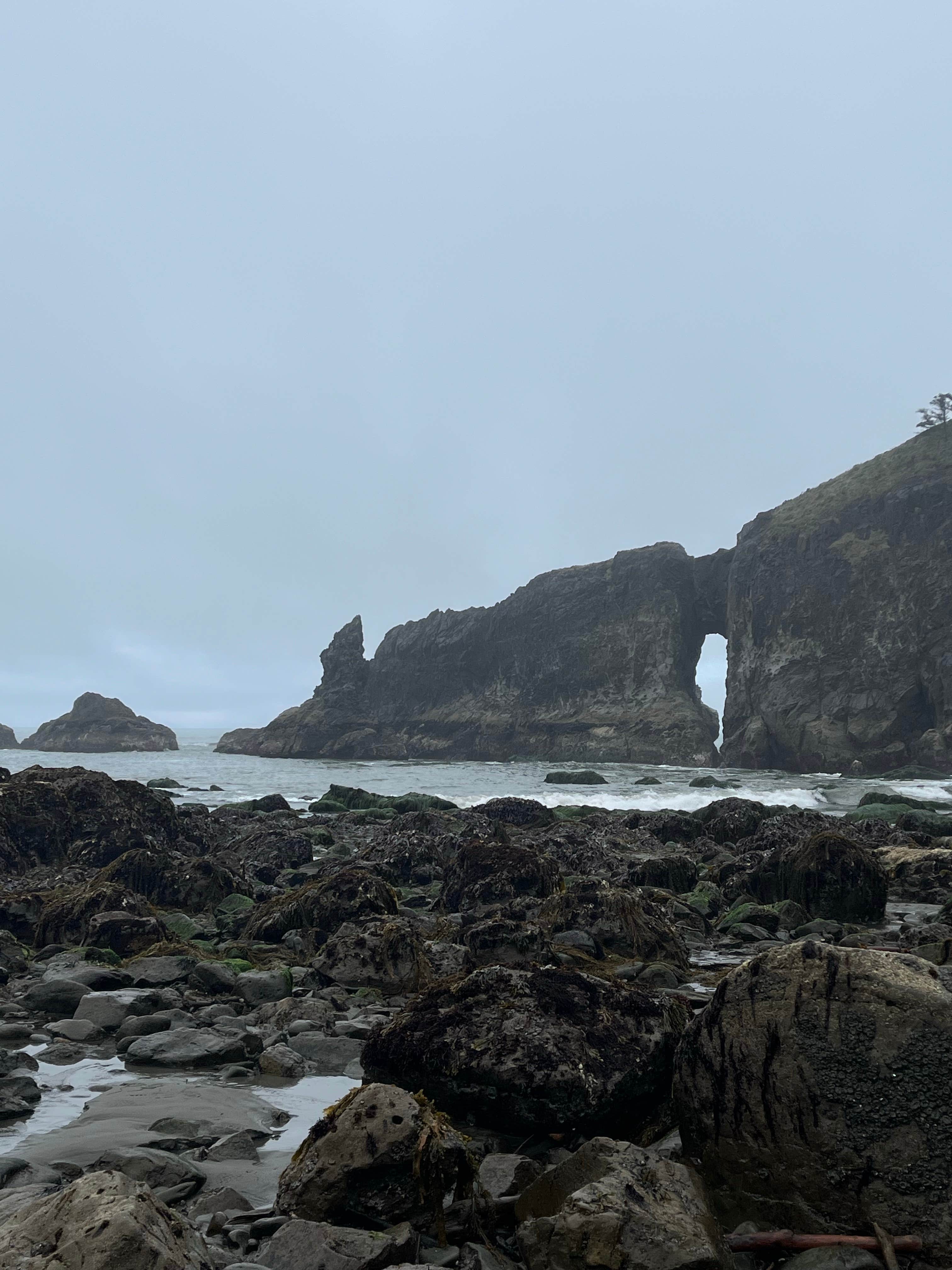 Camper-submitted photo at Second Beach — Olympic National Park near Forks, WA