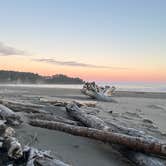 Review photo of Second Beach — Olympic National Park by Lyz F., June 18, 2026