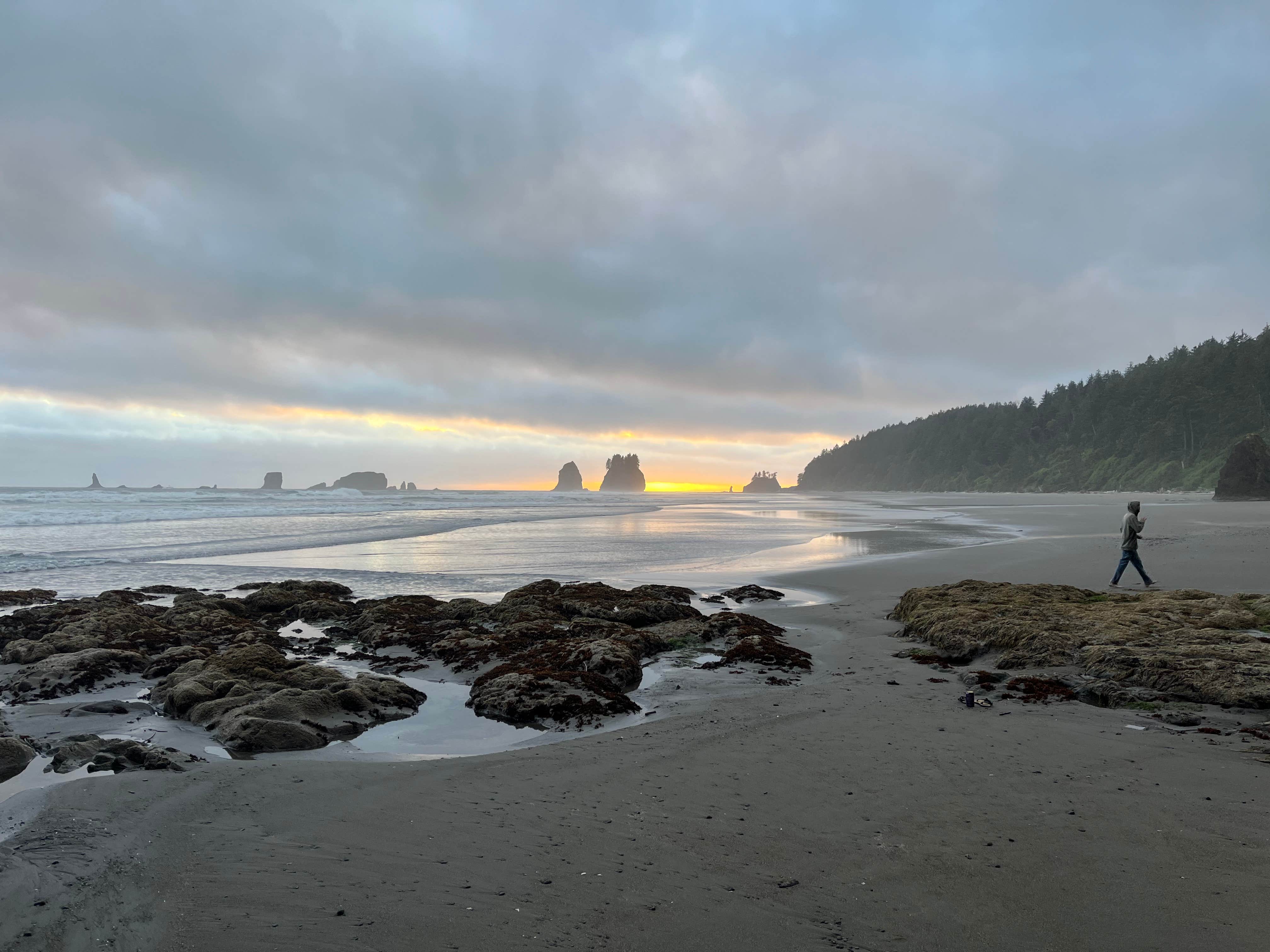 Camper-submitted photo at Second Beach — Olympic National Park near La Push, WA