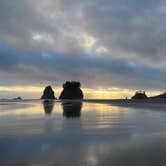 Review photo of Second Beach — Olympic National Park by Lyz F., June 18, 2026