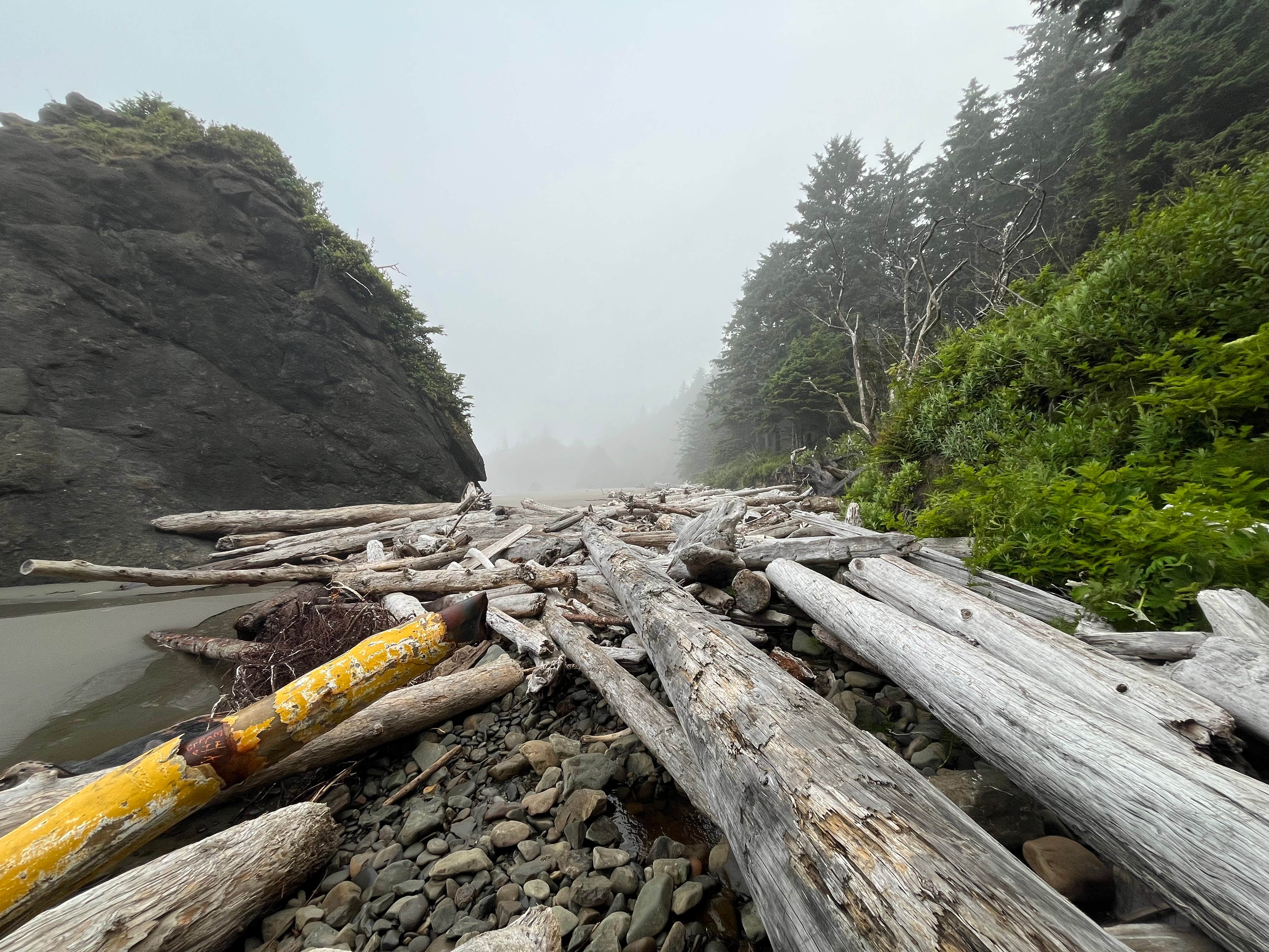 Camping near Cycle Camp: Second Beach — Olympic National Park, La Push, Washington