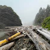 Review photo of Second Beach — Olympic National Park by Lyz F., June 18, 2026